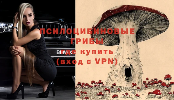винт Абинск