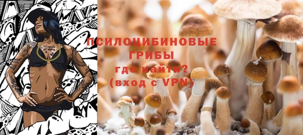 винт Абинск