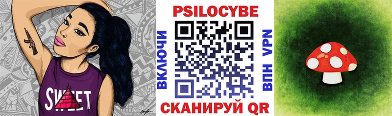 ссылка на мегу как войти как найти наркотики Александровск Псилоцибиновые грибы прущие грибы
